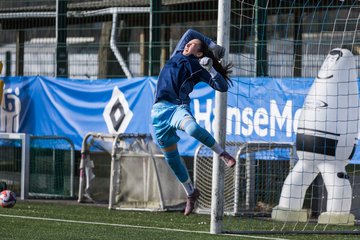 Bild 165 - wBJ Hamburger SV - Hertha BSC : Ergebnis: 2:1